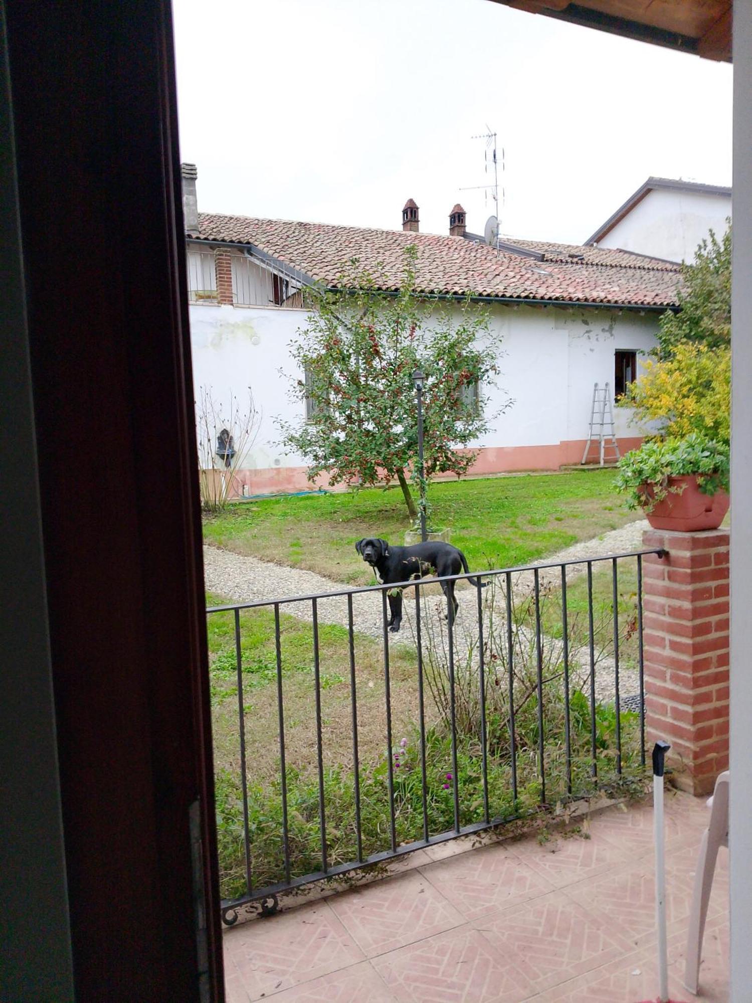 Cascina Trapella Villa Terruggia Kültér fotó